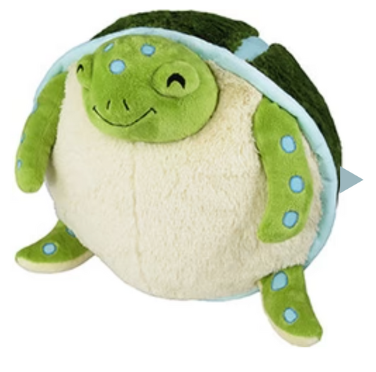 Sea Turtle